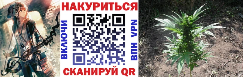 Каннабис Энгельс