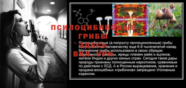 гашик Абдулино