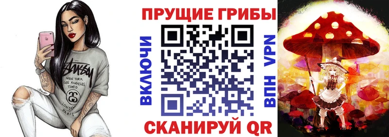 Галлюциногенные грибы Cubensis  Энгельс 
